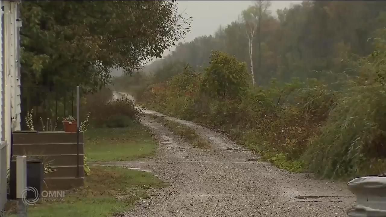 约克区查获亚裔非法种植大麻   – Oct 02, 2018(ON)