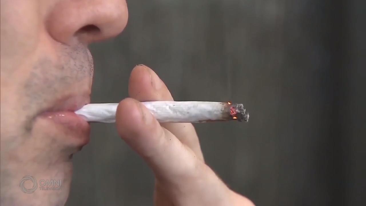 药剂师提醒公众认识大麻对健康的影响 – Oct 17, 2018 (ON)