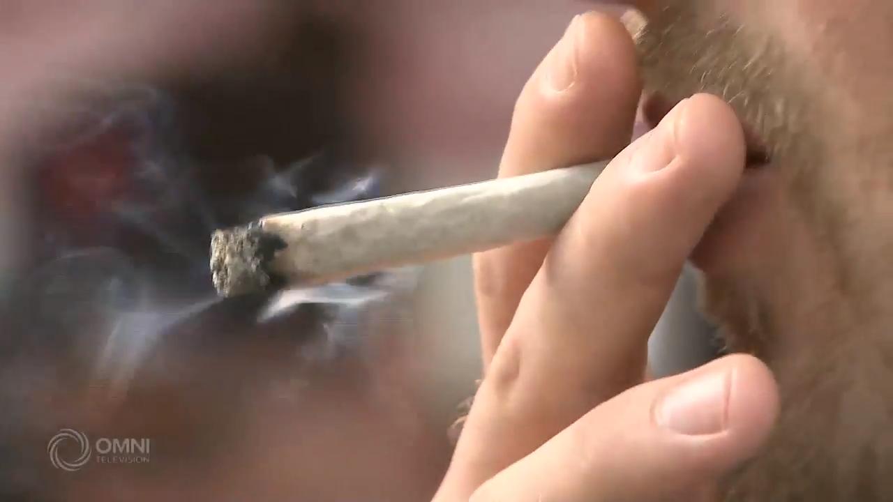 大多数安省省民反对大麻私营零售计划 – Oct 11, 2018(ON)