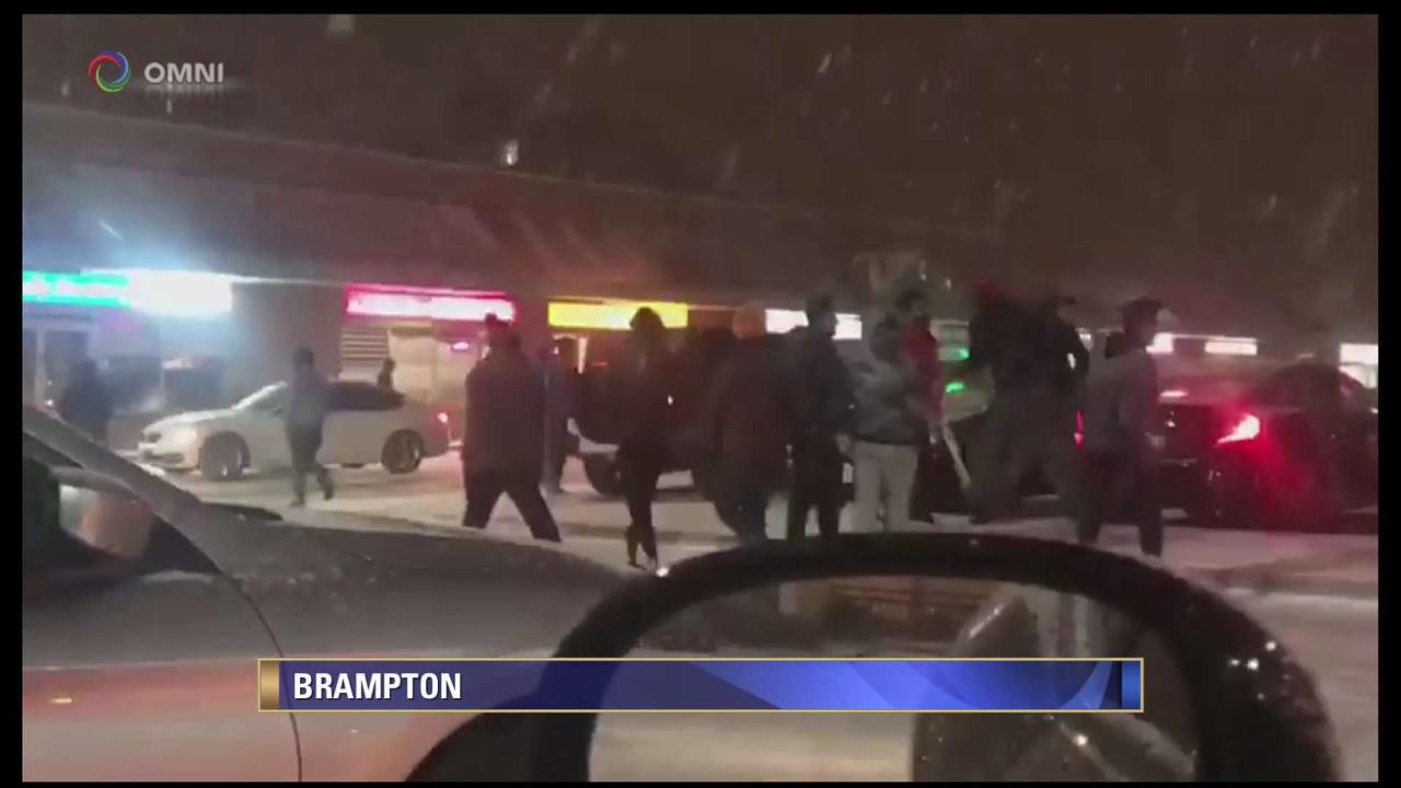 Men arrested for Brampton brawls 'not Canadian citizens'