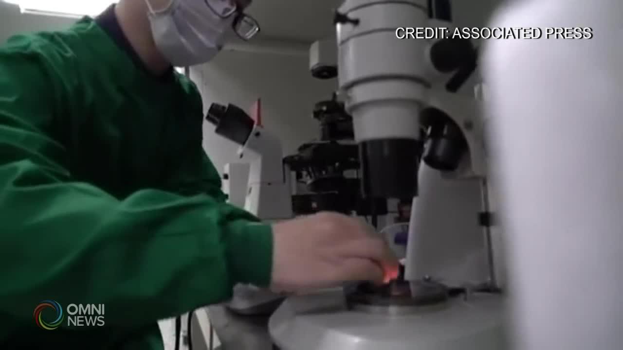 Gene-edited baby, could it happen in Canada?