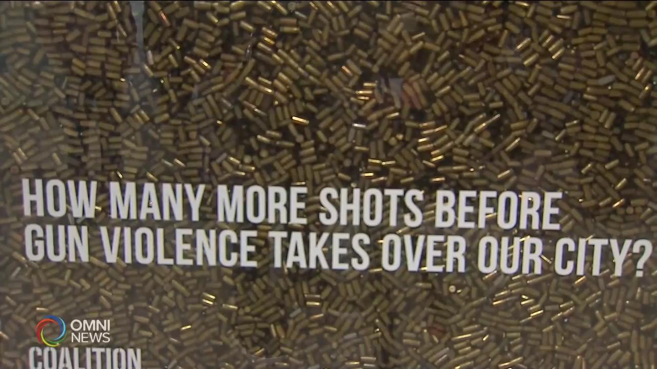 多伦多市民发起呼吁禁枪活动 – Nov 13, 2018(ON)