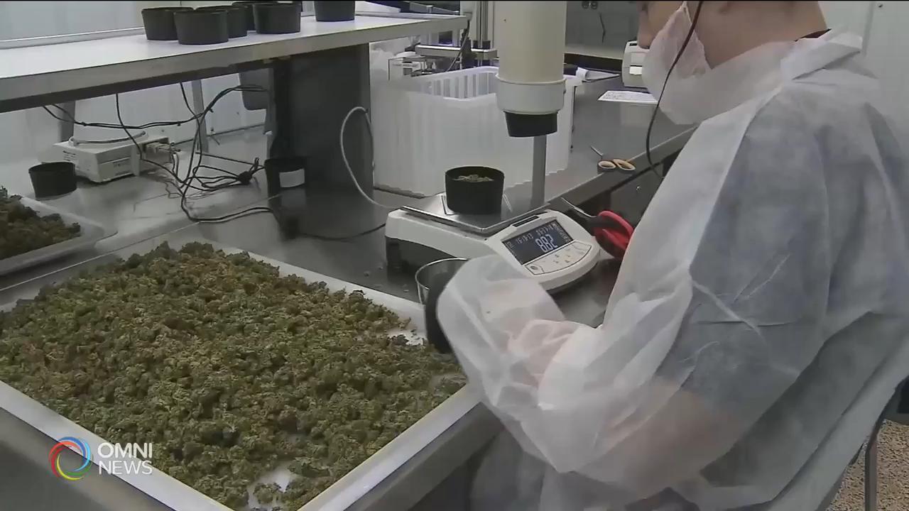 省府公佈明年大麻零售鋪營運規例 -- Nov 15, 2018 (ON)