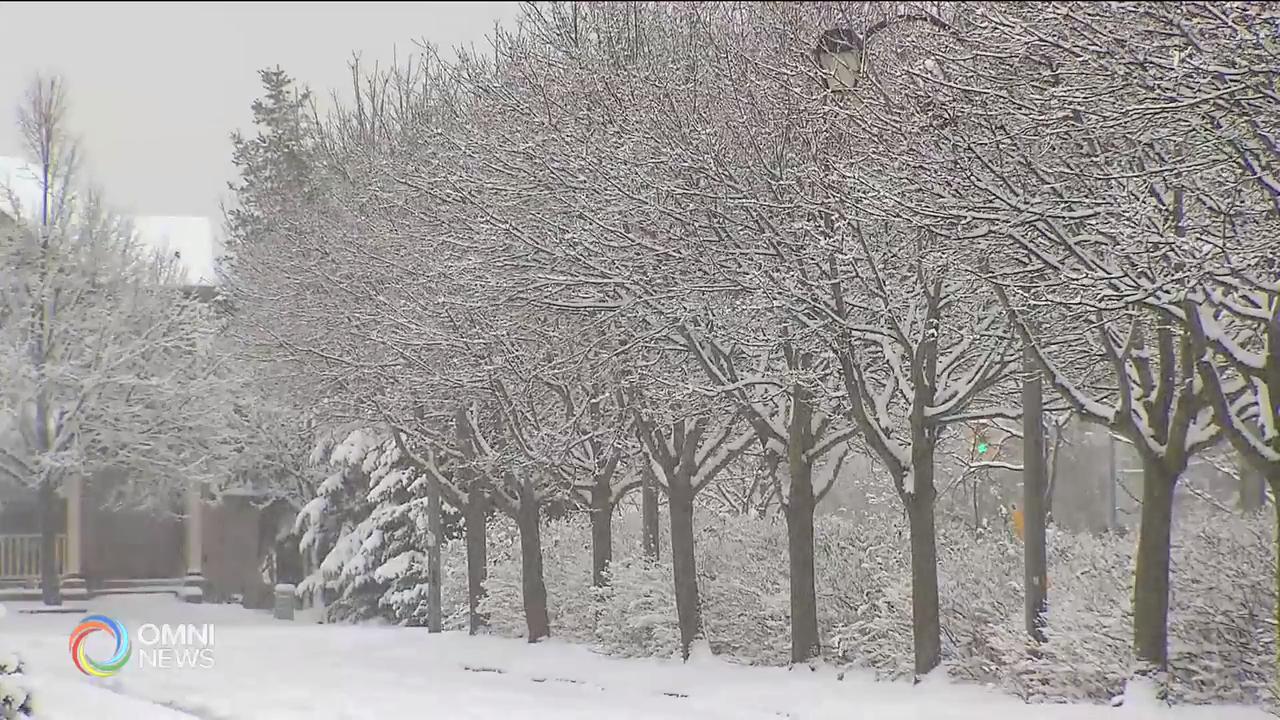 南安省首场大雪  – Nov 16, 2018(ON)