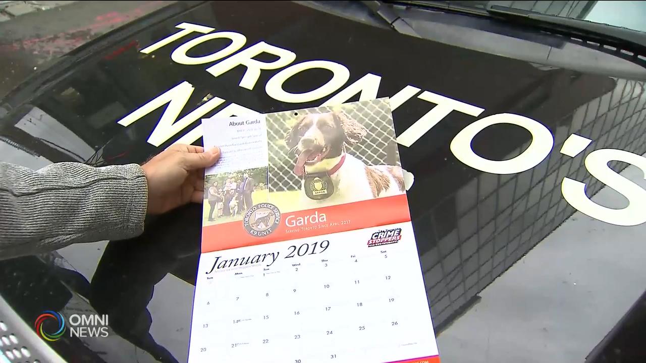 多倫多滅罪熱線2019年月曆 -- Nov 08, 2018 (ON)