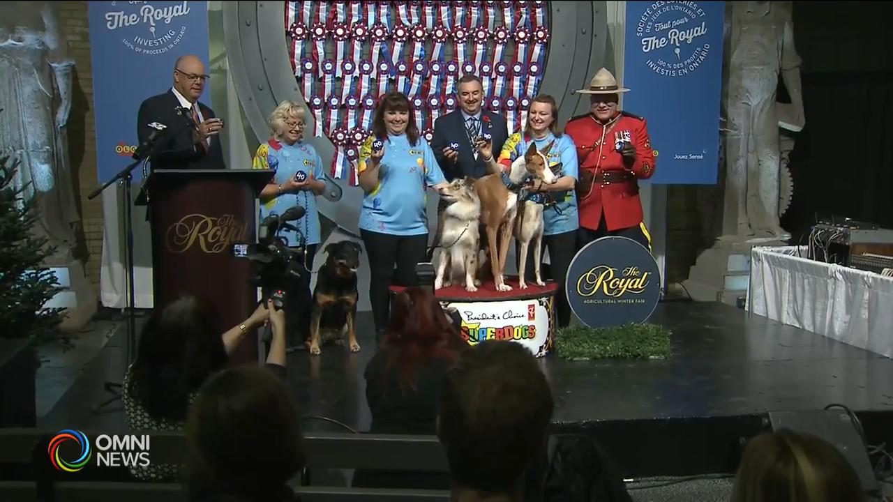 第96屆皇家冬季農業展 -- Nov 02, 2018 (ON)