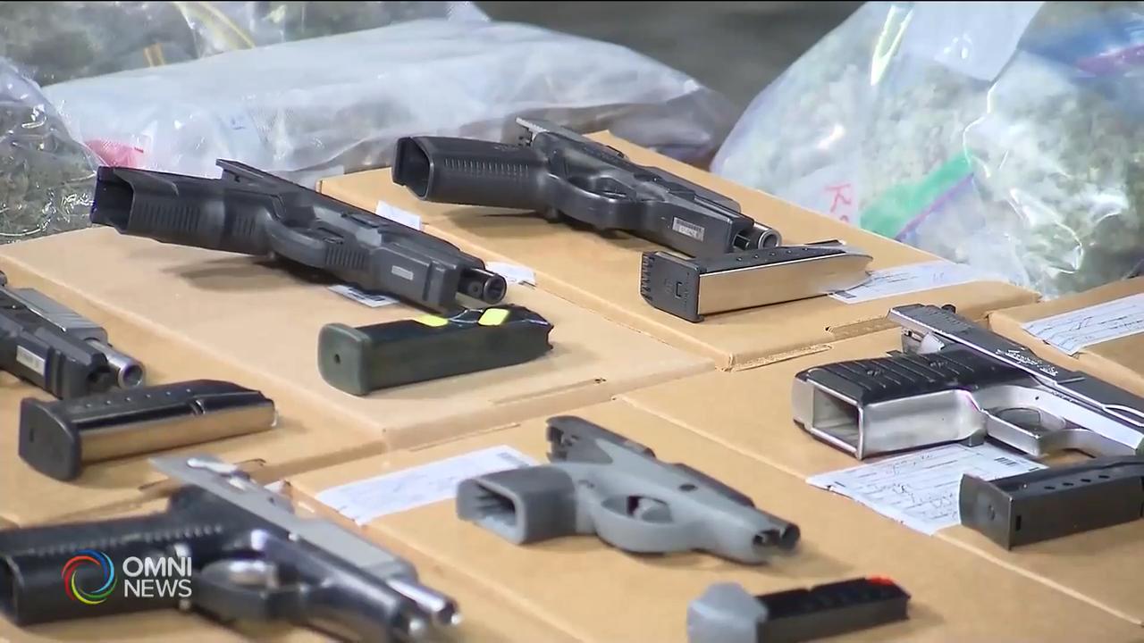 全國禁槍網上諮詢 -- Nov 09, 2018 (ON)