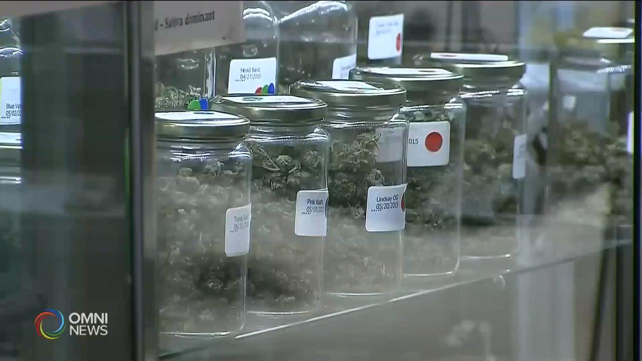 大麻实体店的牌照申请十七日开始 – Dec 06, 2018(ON)