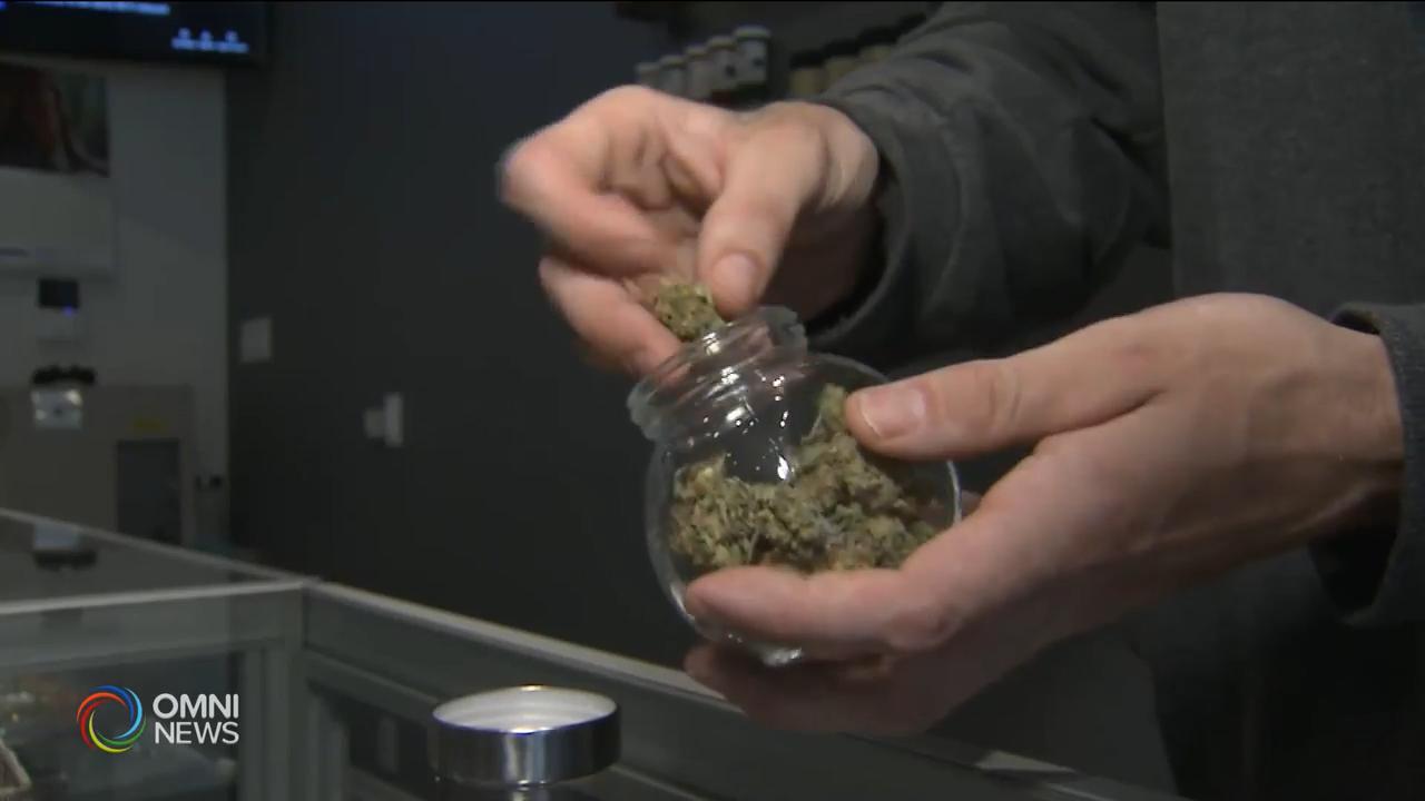 25個大麻零售店牌照今日抽籤 -- Jan 11, 2019 (ON)