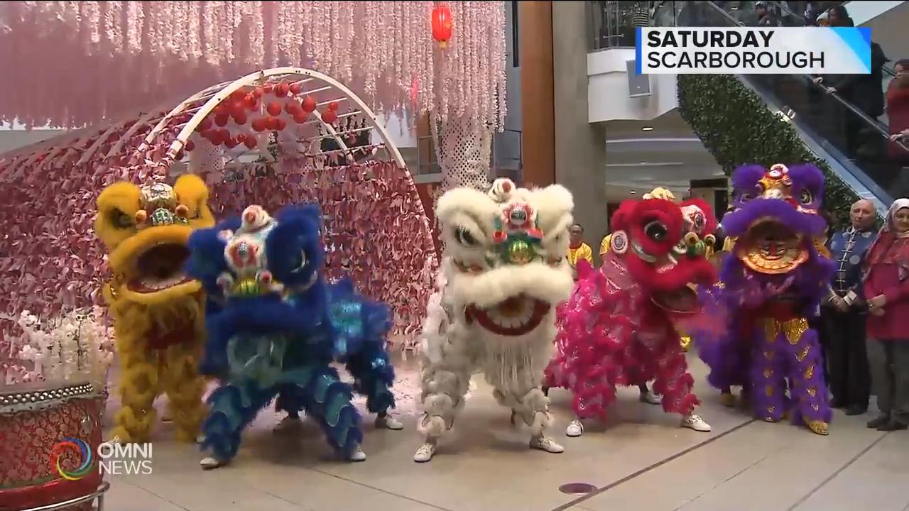 士嘉堡商场举办新春庆祝活动 – Jan 28, 2019(ON)