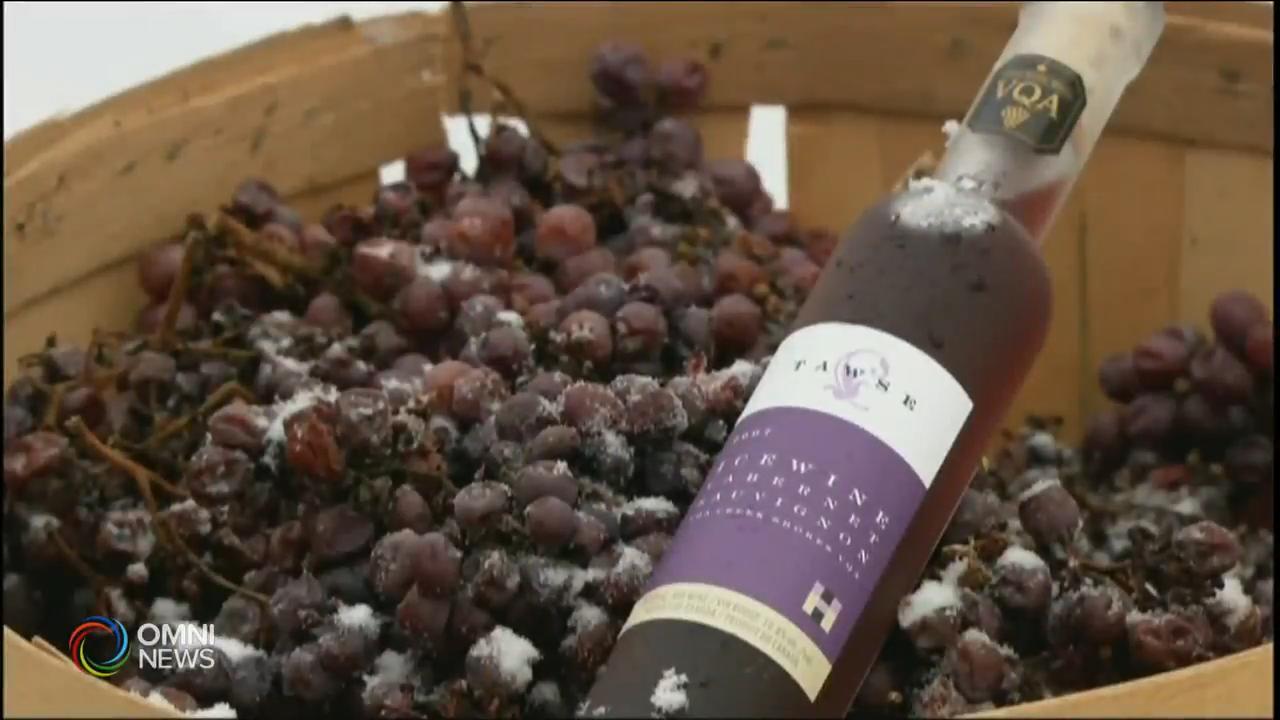 尼亞加拉冰酒節下星期五揭幕 -- Jan 03, 2019 (ON)