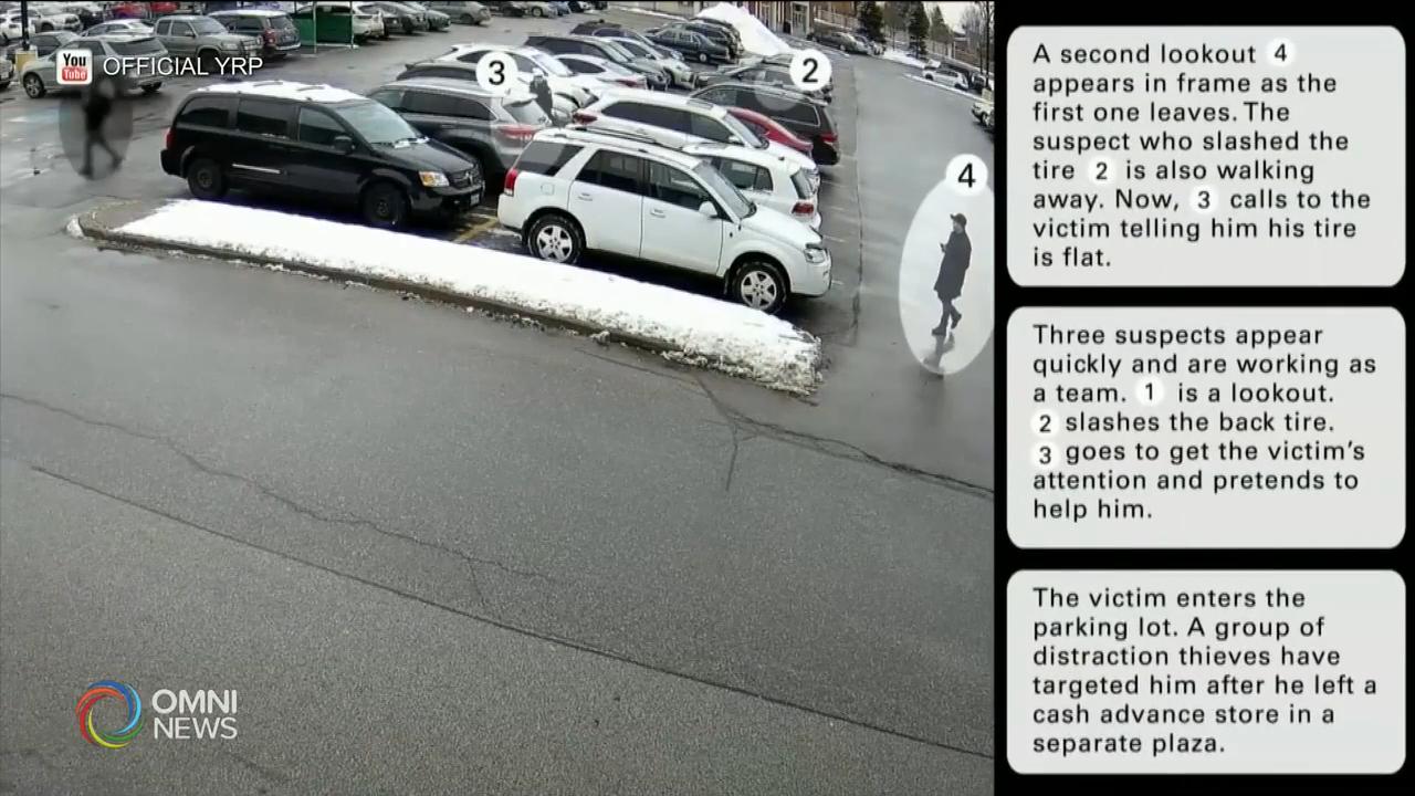 約克區商場出現聲東擊西偷竊集團 -- Jan 25, 2019 (ON)