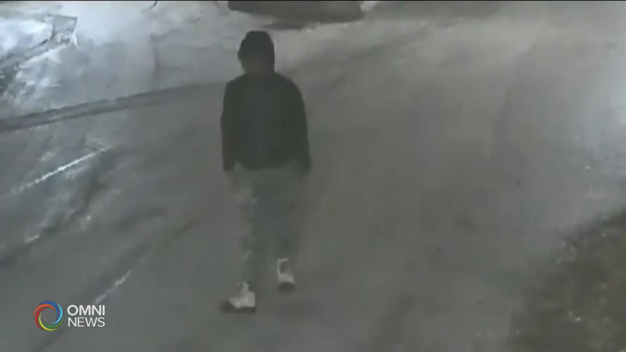 約克大學附近性侵犯案 -- Dec 28, 2018 (ON)