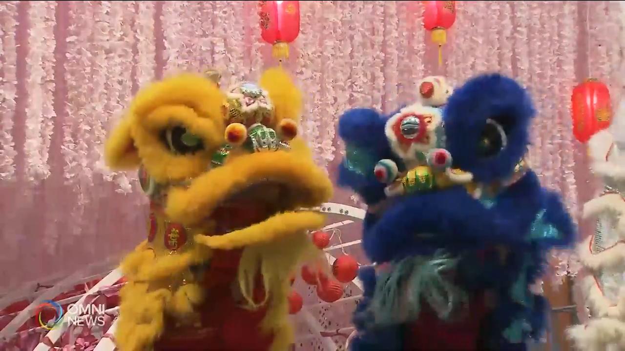 士嘉堡一主流商場迎接金豬年 -- Jan 28, 2019 (ON)