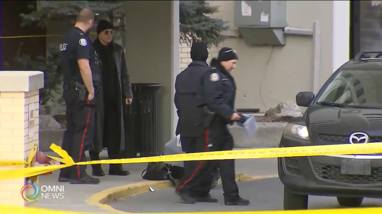 省府動議改革警力服務 -- Feb 19, 2019 (ON)