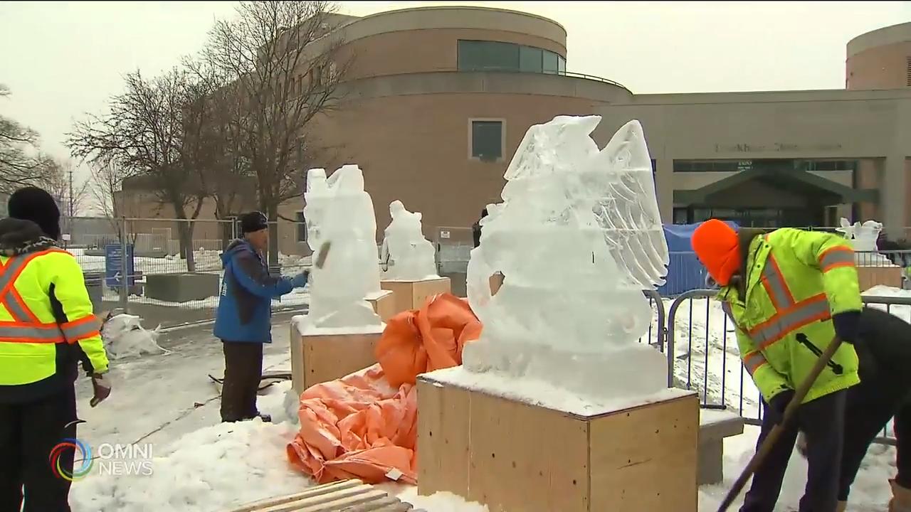 万锦市举办首届冰雕节 – Feb 08, 2019(ON)