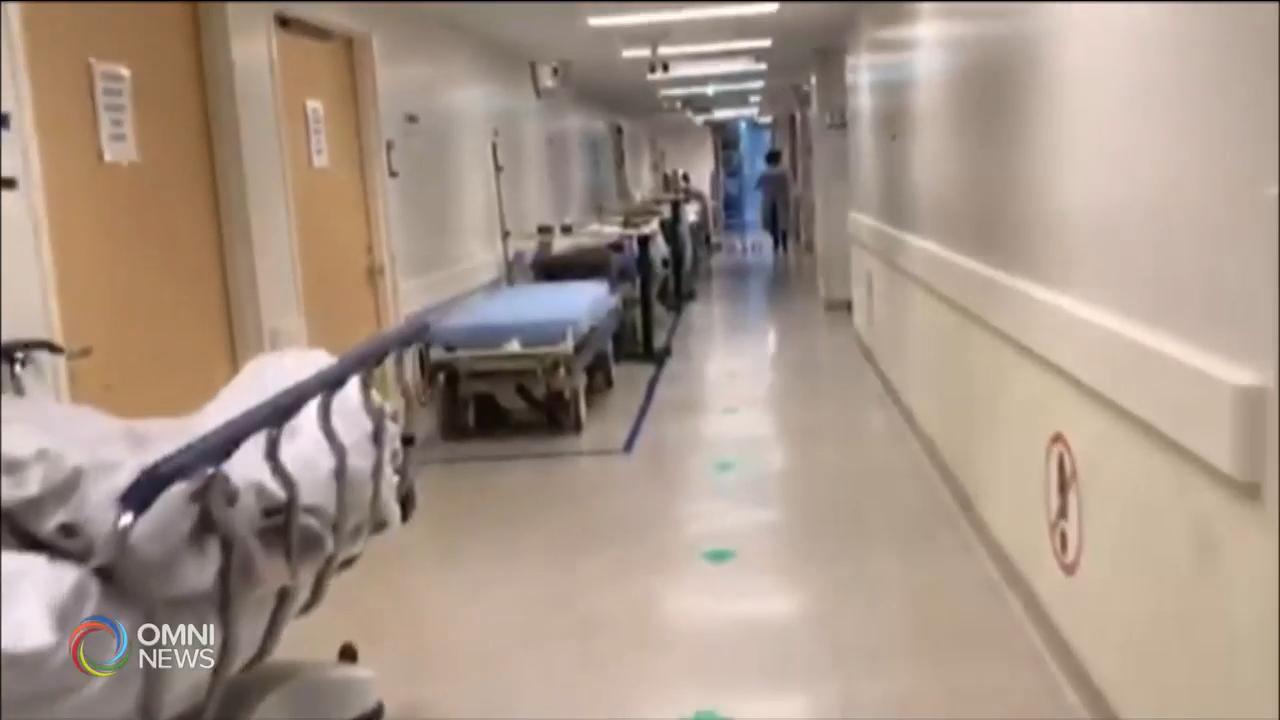 報告指單增加病床不能改善醫療體制 -- Jan 31, 2019 (ON)