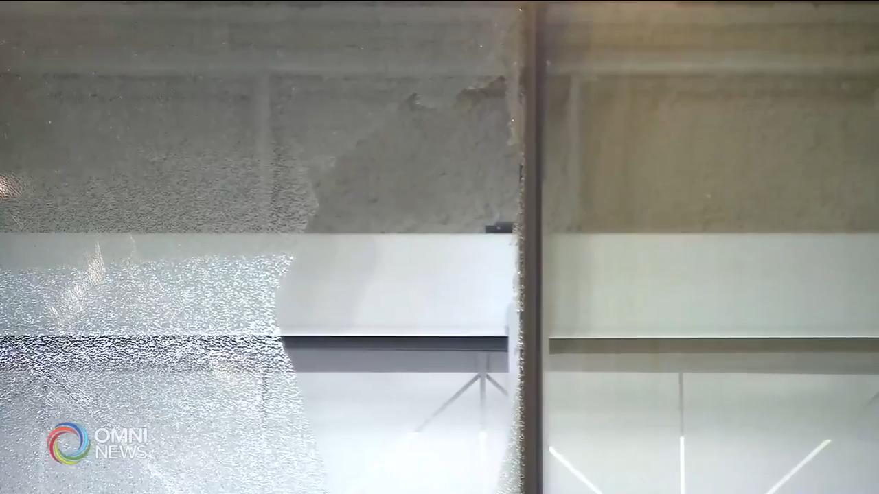 強風吹襲南安省廣泛地區 -- Feb 25, 2019 (ON)