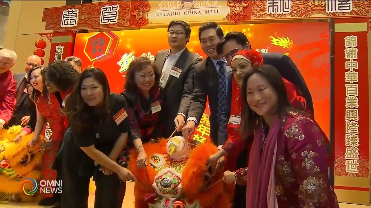 华人自由党协会春节活动 – Feb 19, 2019 (ON)