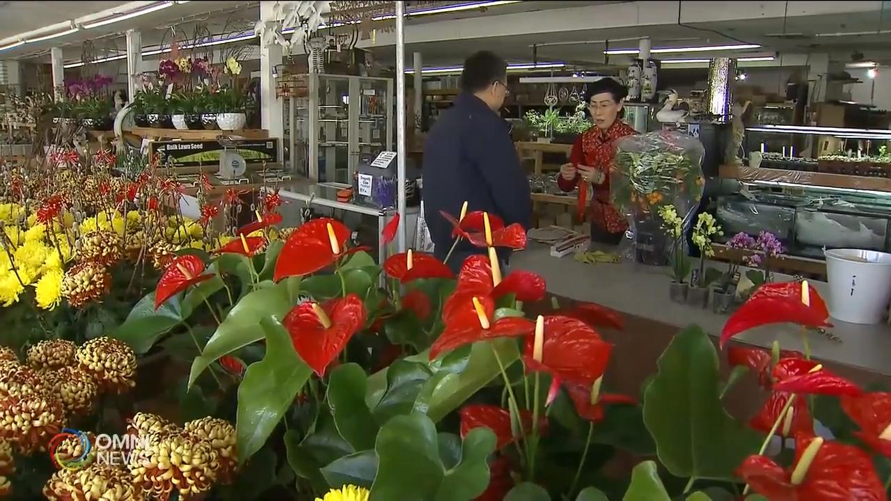 春节期间花卉价格相应上涨 – Feb 01, 2019(ON)