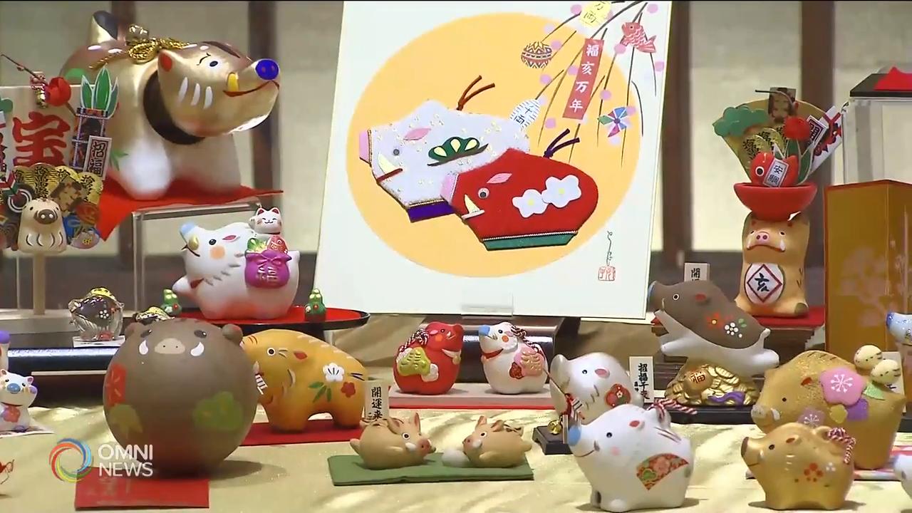 分析猪年运势 – Feb 05, 2019(ON)