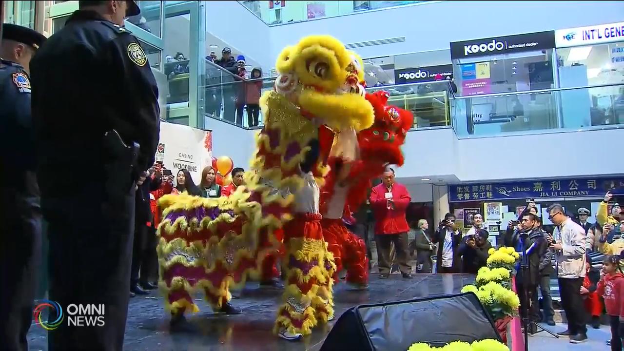 中區華埠唐人街新年慶祝活動 -- Feb 11, 2019 (ON)