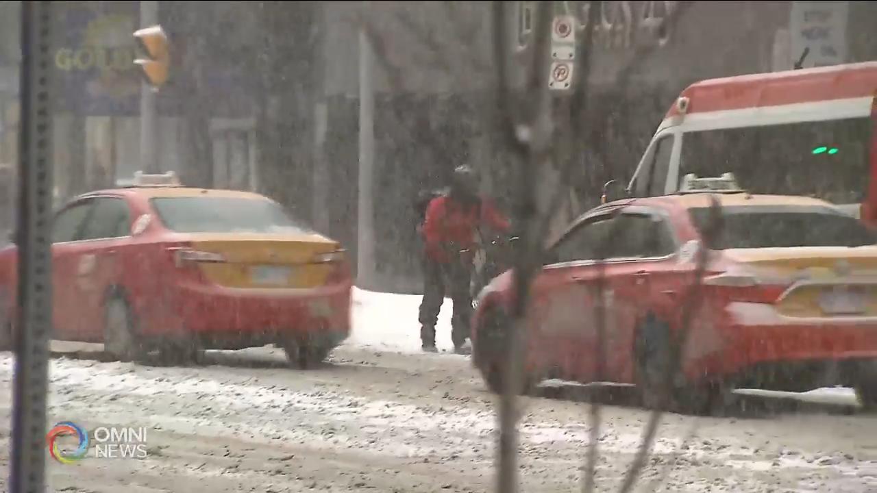 南安省再受雪暴吹襲降雪15至20厘米 -- Feb 27, 2019 (ON)