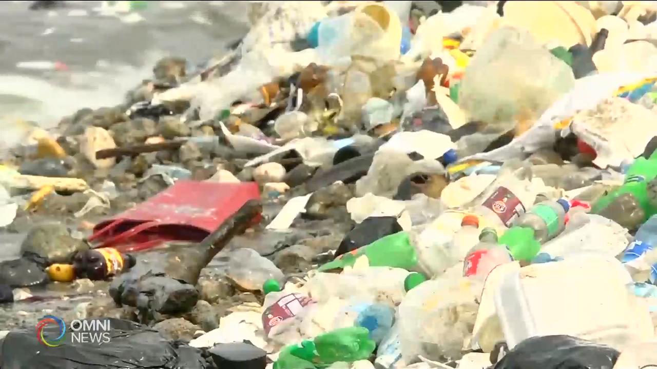 省府就全面禁用塑料购物袋徵询省民意见 – Mar 11, 2019(ON)