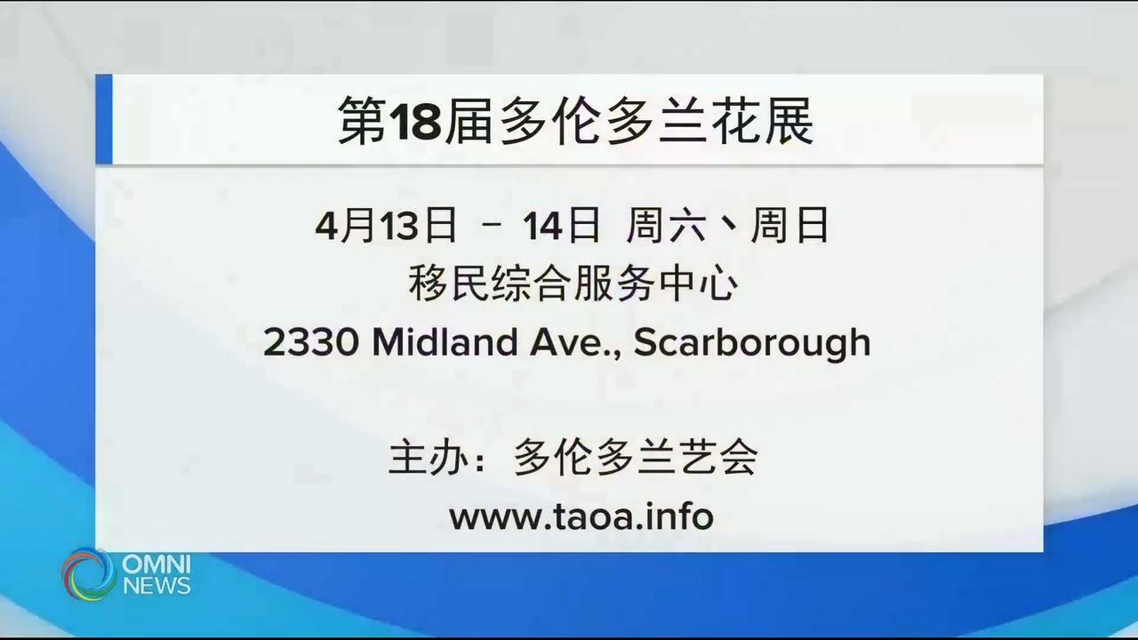 兰花展四月中登场 – Apr 02, 2019   (ON)