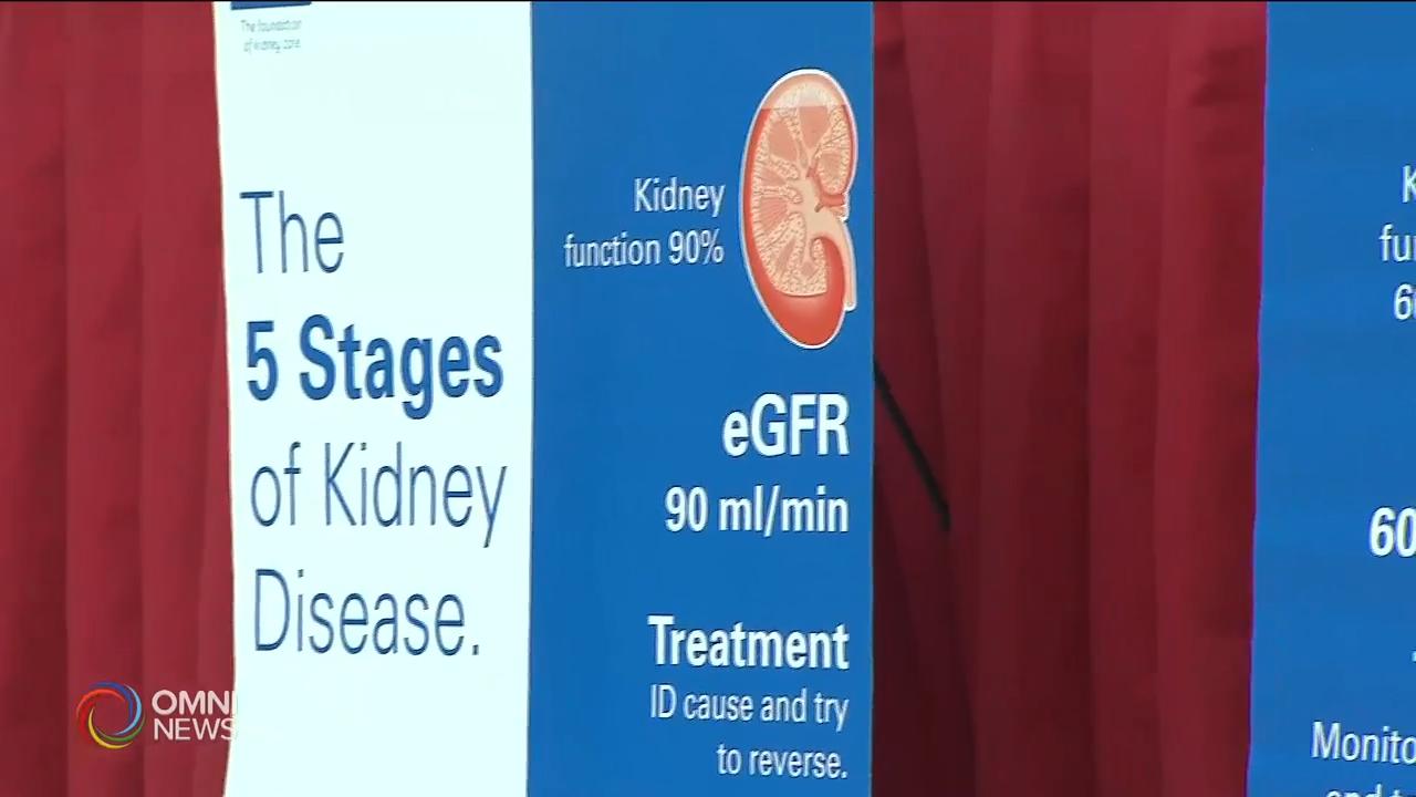 华人肾脏基金会华人办推广活动  – Apr 01, 2019   (ON)
