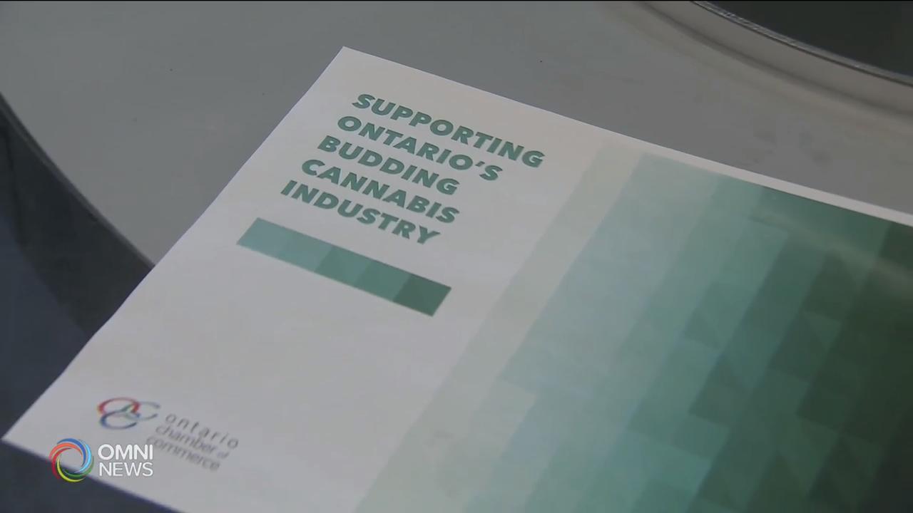 安省商会呼吁各界合作，帮助合法大麻业者 – Apr 18, 2019 (ON)