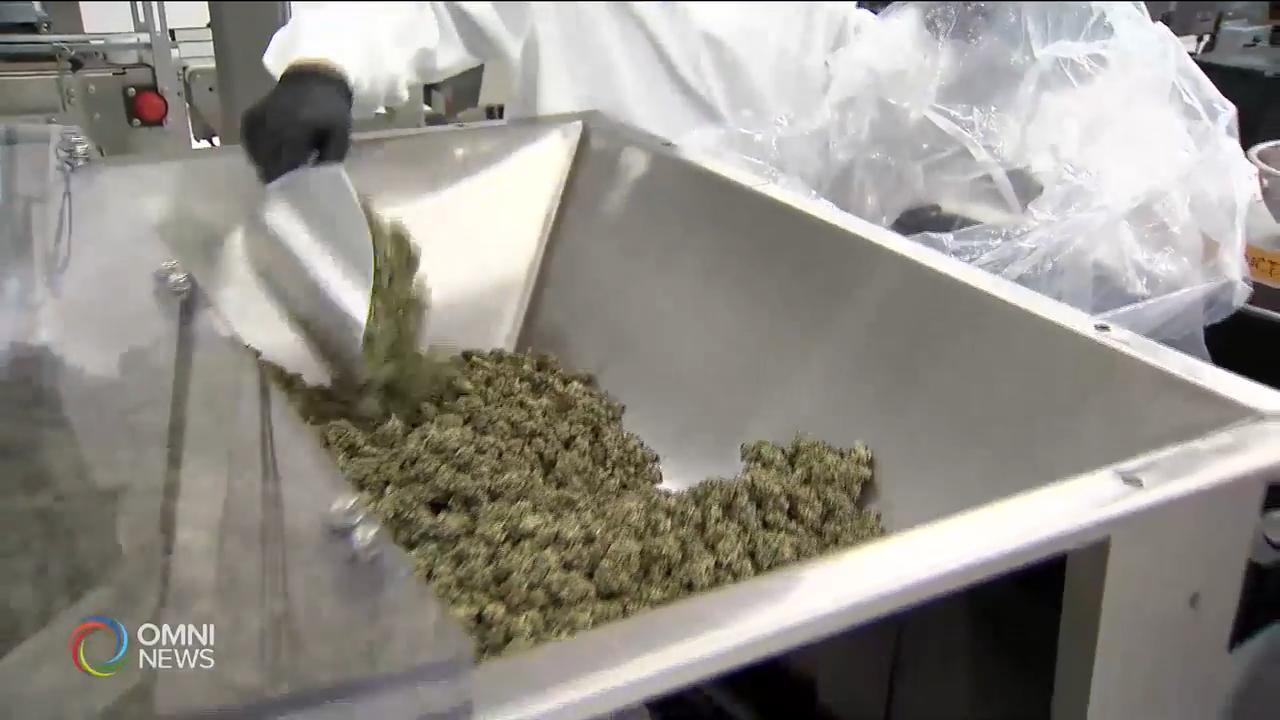 大麻生產需時短期內供不應求 -- Apr 18, 2019 (ON)