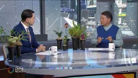 週末舉行的多倫多蘭花展詳情 -- Apr 10, 2019 (ON)