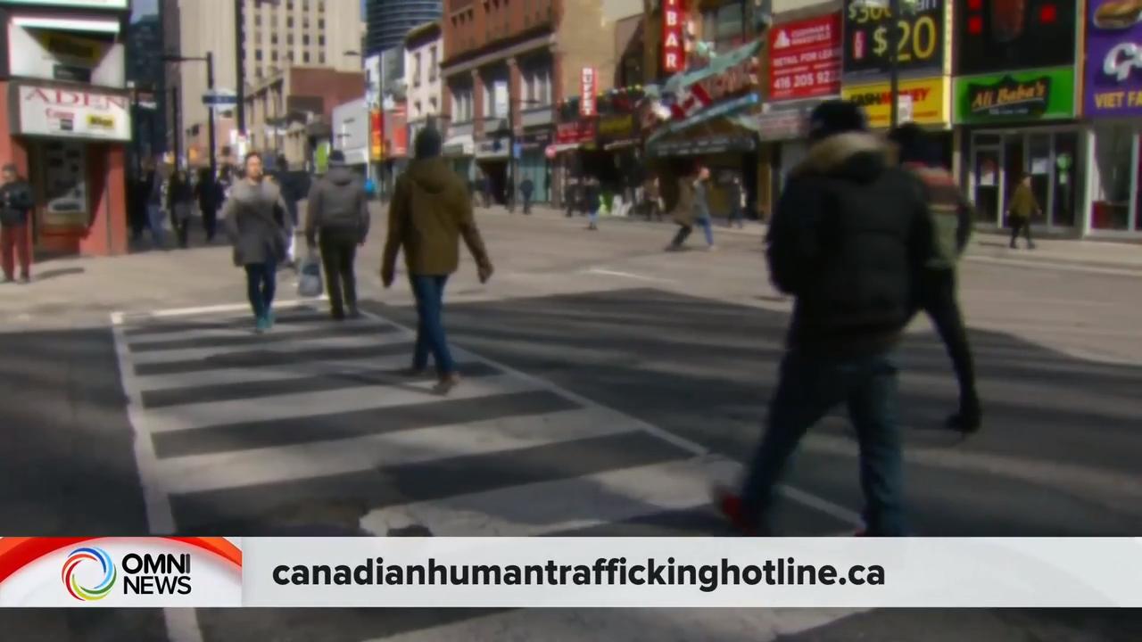 人口贩卖受害者热线，正式开通 – May 29, 2019 (ON)