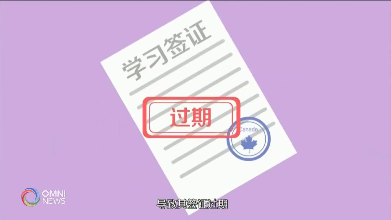 中國使館推出短片協助留學生 -- May 17, 2019 (ON)