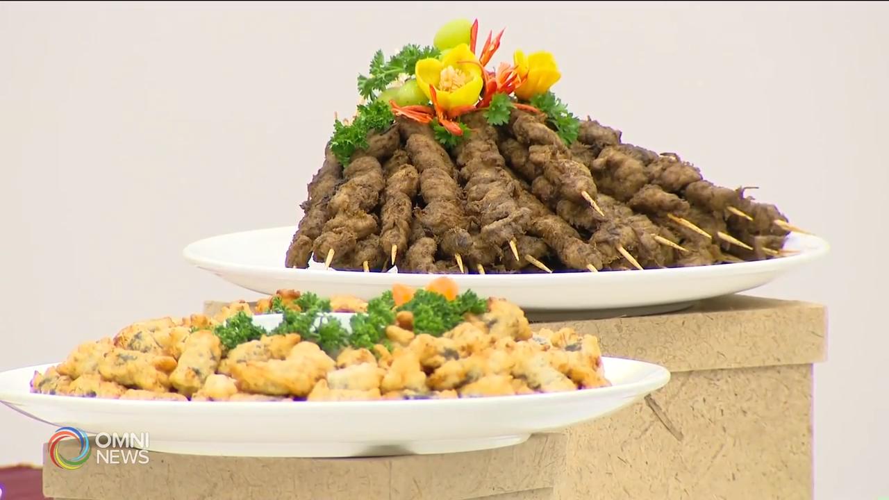 佛光山园游会六月初举行 – May 15, 2019 (ON)