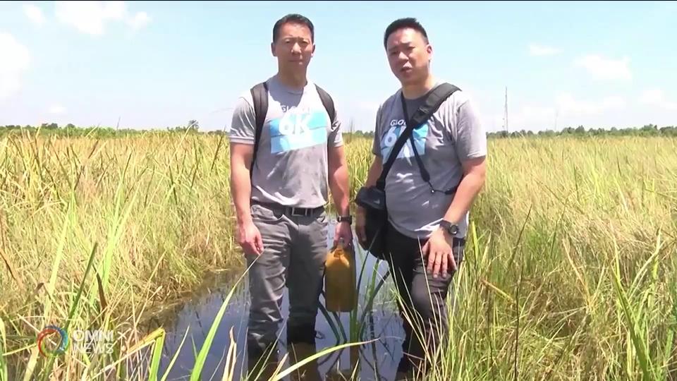 世界宣明會全球6公里義跑活動 -- May 09, 2019 (ON)