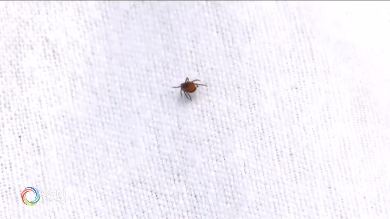 戶外活動要小心蜱蟲 -- May 16, 2019 (ON)