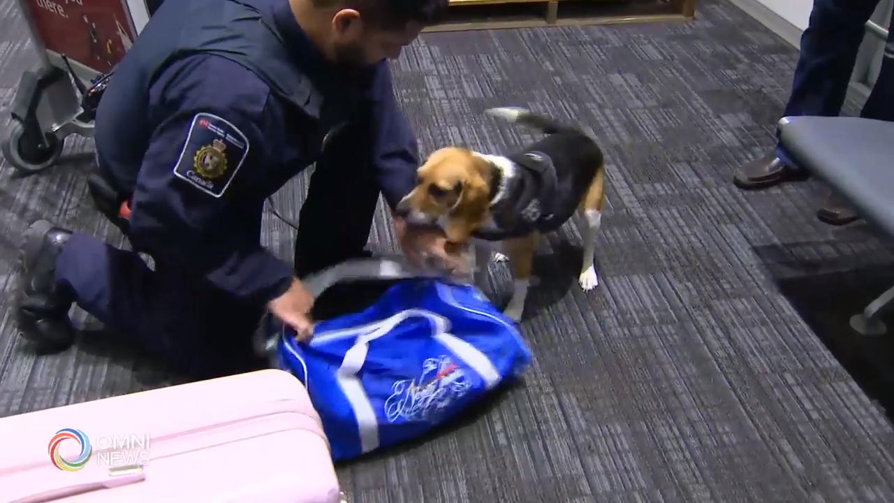 旅游旺季开始，边境局提醒旅客注意申报携带的物品   – Jun 27, 2019 (ON)