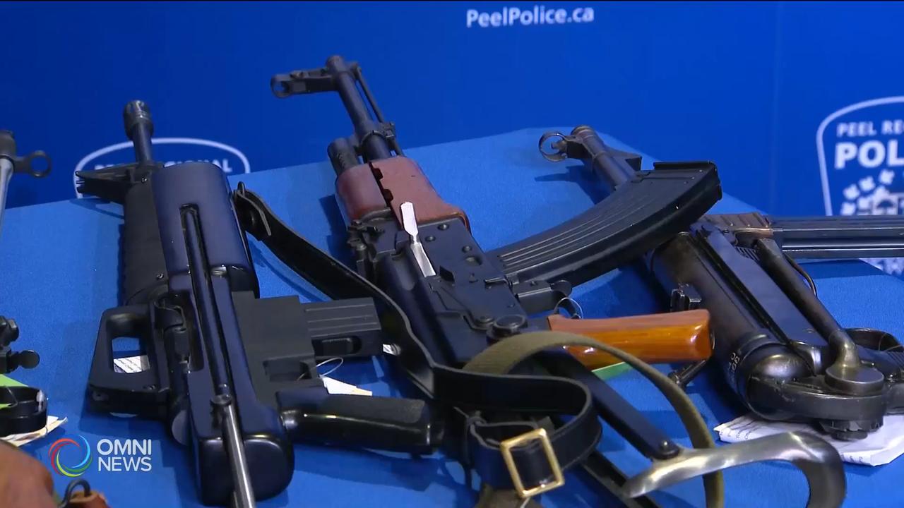 皮爾區警方槍械特赦計劃成效顯著 --- Jun 04, 2019 (ON)