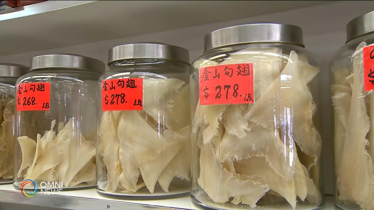 禁止魚翅進出口，餐飲業界認為影響不大 -- Jun 20, 2019 (ON)