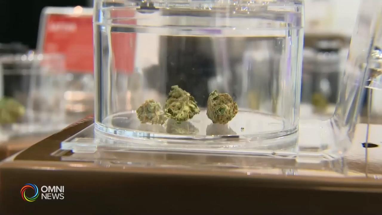 省府再开放五十家大麻零售店的经营权申请 – Jul 03, 2019 (ON)