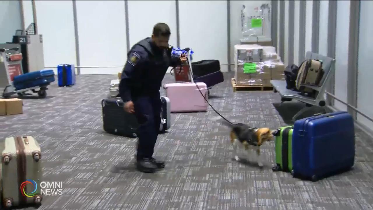 邊境局提醒旅客詳實申報攜帶物品 -- Jun 28, 2019 (ON)