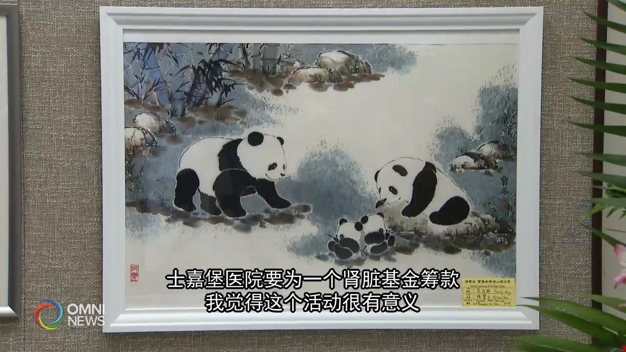 画家陈宝文举行画展为士嘉堡医院募款 – Jul 08, 2019 (ON)