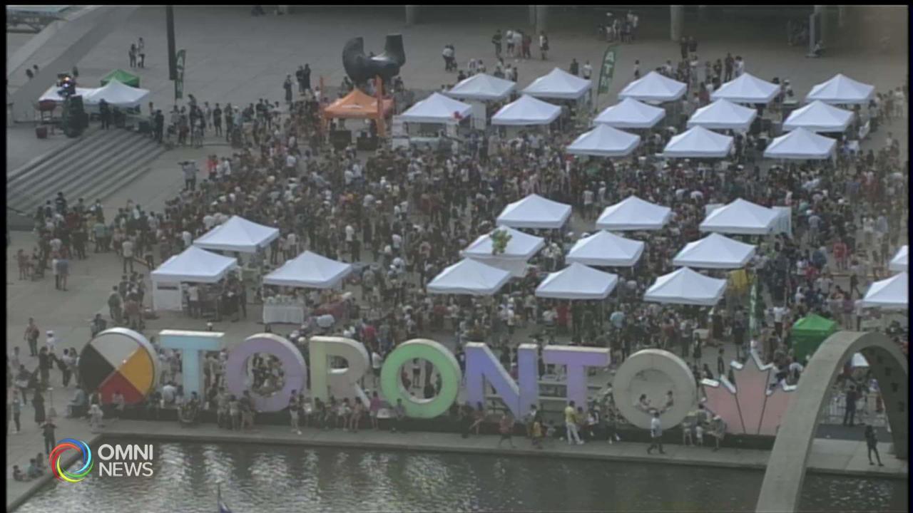 Bollywood Monster Mashup