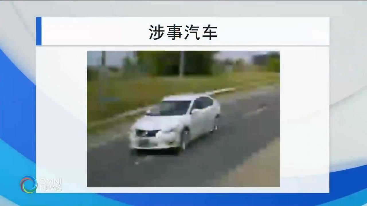 警方公布致命车祸的涉案车辆照片 – Aug 22, 2019(ON)