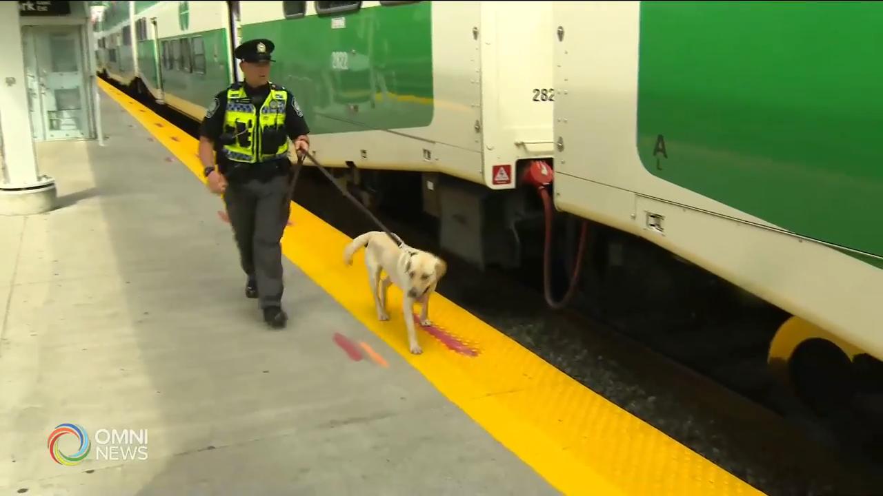 都會聯通成立首支列車警犬小隊 -- Aug 07, 2019 (ON)