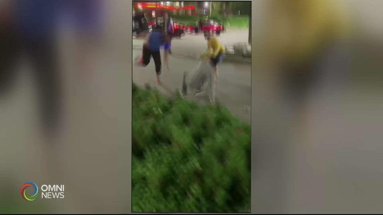 Strawberry Hill Violence