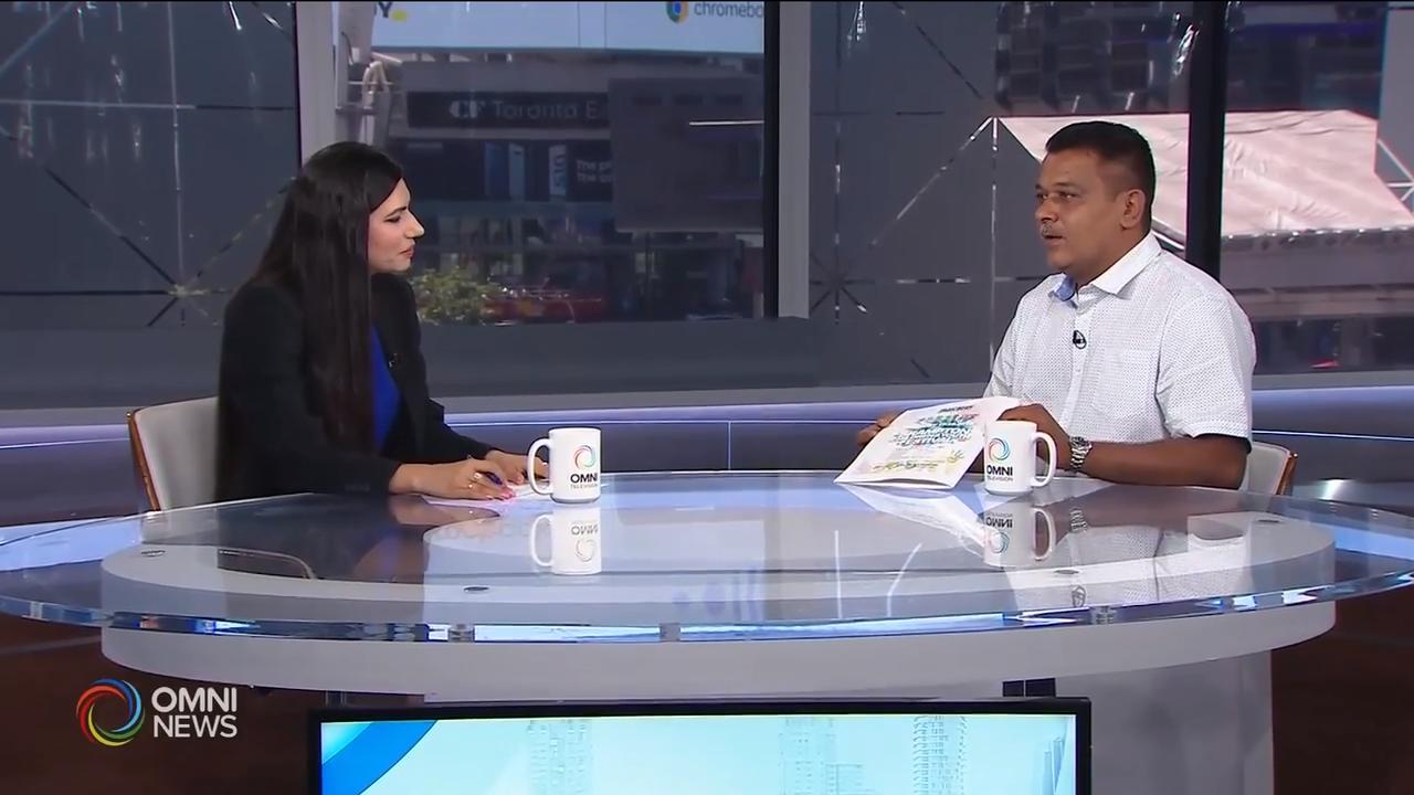 Preview of Brampton Children & Youth Festival