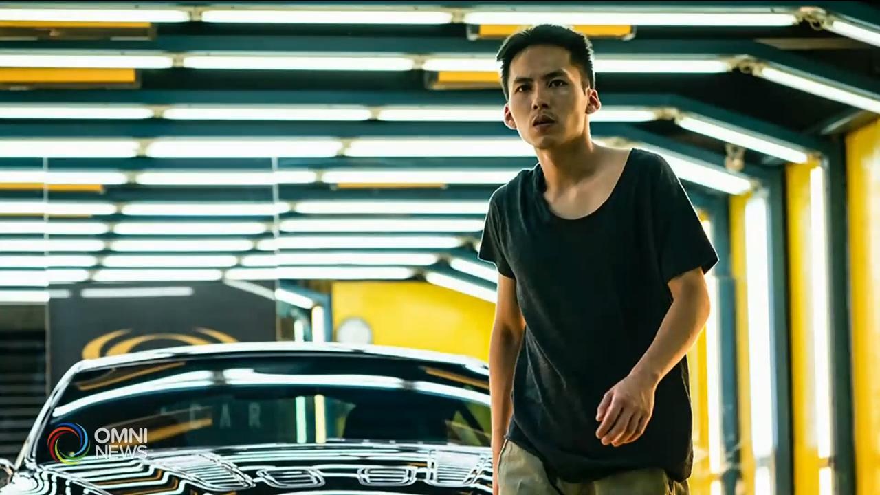 第44届多伦多国际影展的放映资讯将全面电子化 – Aug 20, 2019 (ON)